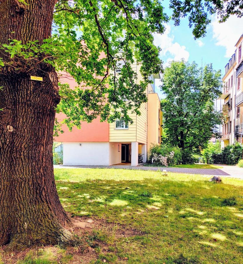 Gemuetliche Ferienwohnung In Ruhiger Lage Dresden Eksteriør bilde