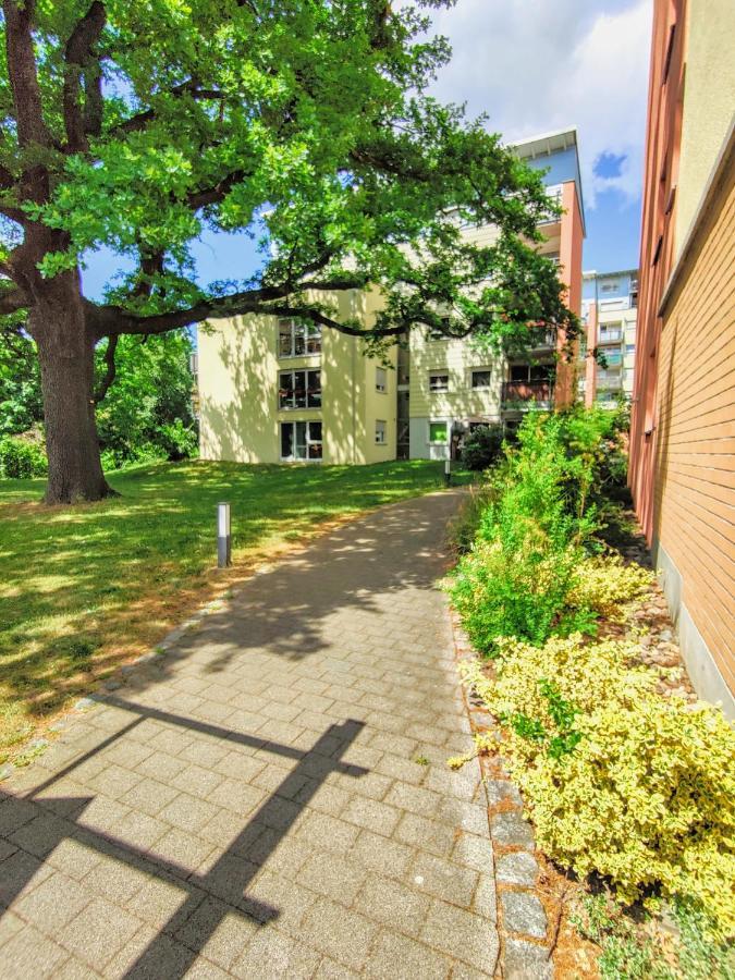 Gemuetliche Ferienwohnung In Ruhiger Lage Dresden Eksteriør bilde